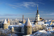 Tallinn city. Estonia. Snow on trees in winter