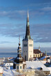 Tallinn city. Estonia. Snow on trees in winter