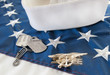 Navy SEAL trident on flag