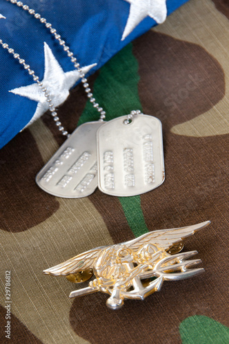 Photo: Navy SEAL trident on camoflauge Navy SEAL trident on camoflauge
