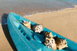 Photo: Seashells Seashells