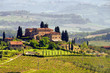 Toskana Weingut - Tuscany vineyard 03 Toskana Weingut - Tuscany vineyard 03