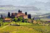 Toskana Weingut - Tuscany vineyard 03 - Fine Art prints