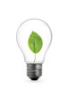 Ecological lighting bulb concept