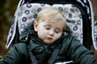 Portrait of a young boy sitting in a stroller, sleeping