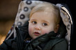 Portrait of a young boy sitting in a stroller