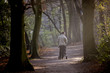 A young father pushing a stroller in the park, rear view