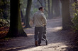 A young father pushing a stroller in the park, rear view