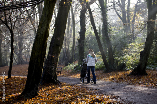 Photo: A young mother pushing a stroller in the park, rear view A young mother pushing a stroller in the park, rear view