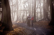 A young couple pushing a stroller in the park, rear view
