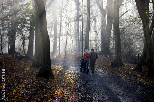 Photo: A young couple pushing a stroller in the park, rear view A young couple pushing a stroller in the park, rear view