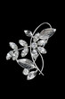 silver vintage brooch