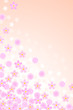 桜（Cherry Blossom)