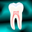 Tooth, vector illustration, eps10