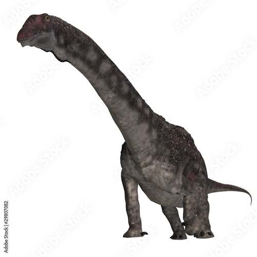 Illustration: Dinosaur Diamantinasaurus. 3D rendering with clipping path and Dinosaur Diamantinasaurus. 3D rendering with clipping path and