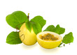 Cut and Complete Passion Fruit Isolated Cut and Complete Passion Fruit Isolated
