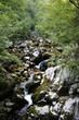 WAterfall across the trees