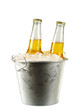 Beer Bottles Beer Bottles