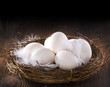 Eggs in a Nest. Financial Concept