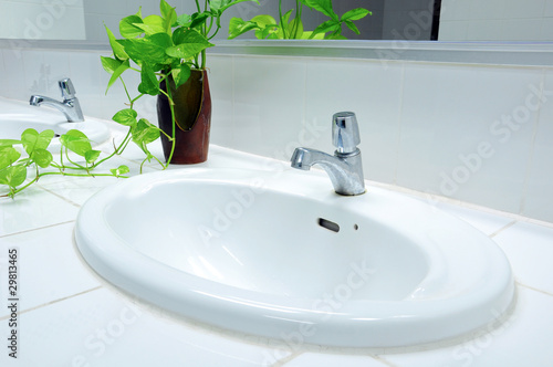 Photo: Handbasin and vase in toilet Handbasin and vase in toilet