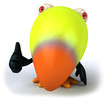 Toucan Toucan