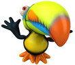 Toucan Toucan