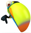 Toucan Toucan
