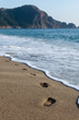 Beach walk