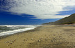 New Zealand West Coast Beach