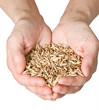 wheat