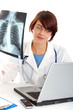 Doctor examining an x-ray image Doctor examining an x-ray image