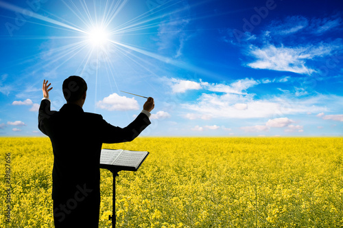 Photo: Conductor and oilseed field Conductor and oilseed field