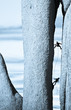 Foto: Team of climbers struggel up a steep cliff. Team of climbers struggel up a steep cliff.