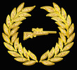Military Award