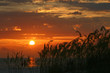 Days End