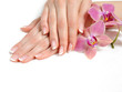 Beautiful hand with perfect nail french manicure and purple orch Beautiful hand with perfect nail french manicure and purple orch