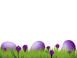 Happy Easter