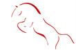 Cheval cabré