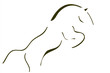 Dessin de cheval