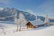 Wasensteiner Alm