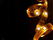LED garland