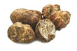 Tartufo Tartufo