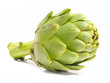 Artichoke