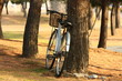自転車