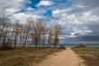 road to sea