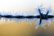 icy barbed wire