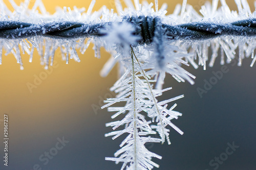 Photo: cold winter cold winter