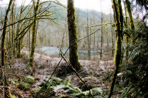 Photo: Mystical Pond Mystical Pond