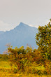 Krivan, Vysoke Tatry (High Tatras), Slovakia