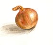 Onion Onion